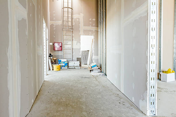 Best Drywall Removal and Disposal  in Security Widefield, CO